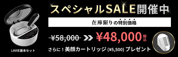 脱毛器ラヴィ ヤマダ電機